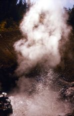 USA-Yellowstone_05.jpg